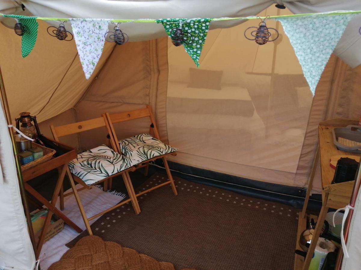 Coed Y Brenin Retreat - Bell Tent Glamping Near Aberaeron Ciliau Aeron Экстерьер фото